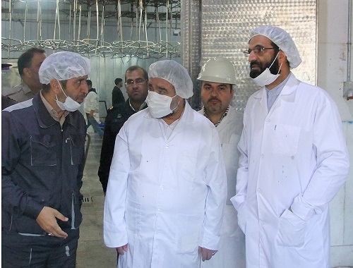موازین شرعی توسط کشتارگاه صنعتی مشهد در ذبح دام رعایت می شود