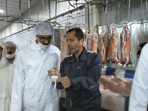از طرح های اقتصادی خلاقانه و دانش بنیان استقبال می کنیم