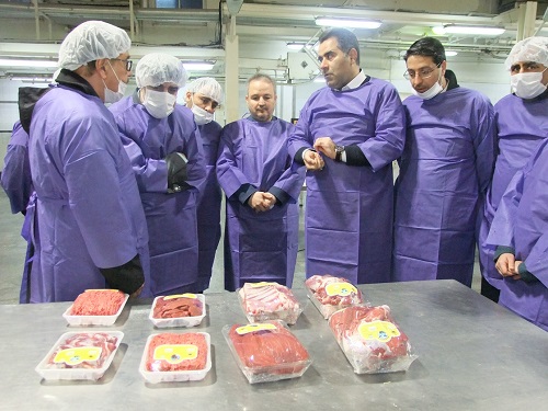 بازدید مدیران دفتراقتصادی استانداری از کشتارگاه صنعتی مشهد
