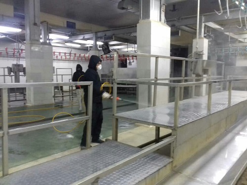 تمهیدات لازم برای جلوگیری از شیوع کرونا در کشتارگاه صنعتی مشهد اندیشیده شد