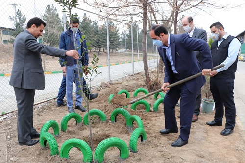 کاشت نمادین نهال توسط مدیرعامل سازمان همیاری در یکی از واحدهای فعال زیست محیطی وابسته