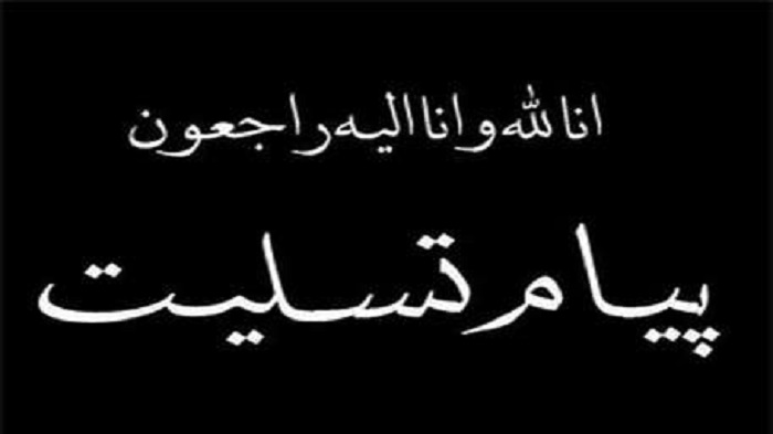 پیام تسلیت محمودرضا فخر مدیرعامل سازمان در پی شهادت سید شهیدان خدمت و همراهان ایشان