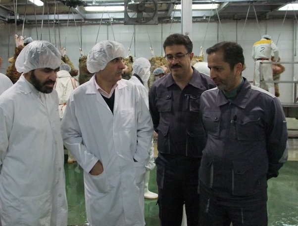 رئیس موسسه صنعتی گوشت مشهد تاکید کرد؛ لزوم نظارت کافی برنصب لیبل های تقلبی بر گوشت های توزیع شده در فروشگاه ها